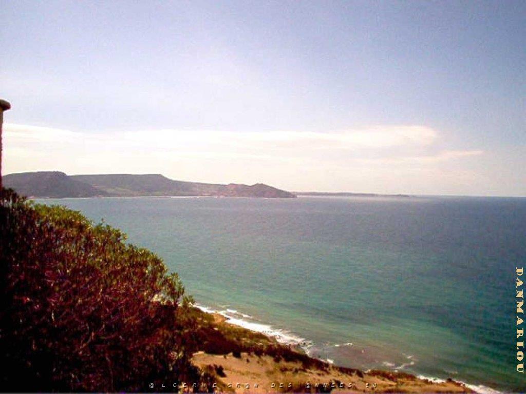 Algerie avril2005 049.jpg
